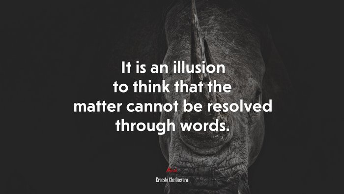 It is an illusion to think that the matter cannot be resolved through words. | Ernesto Che Guevara quote