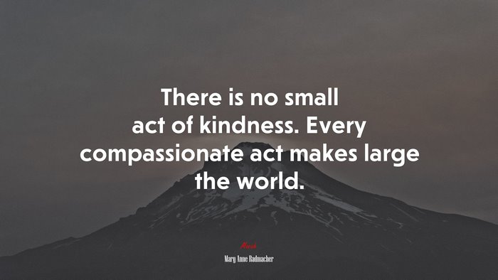 There is no small act of kindness. Every compassionate act makes large the world. | Mary Anne Radmacher quote