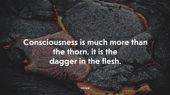 Consciousness is much more than the thorn, it is the dagger in the flesh. | Emil Cioran quote