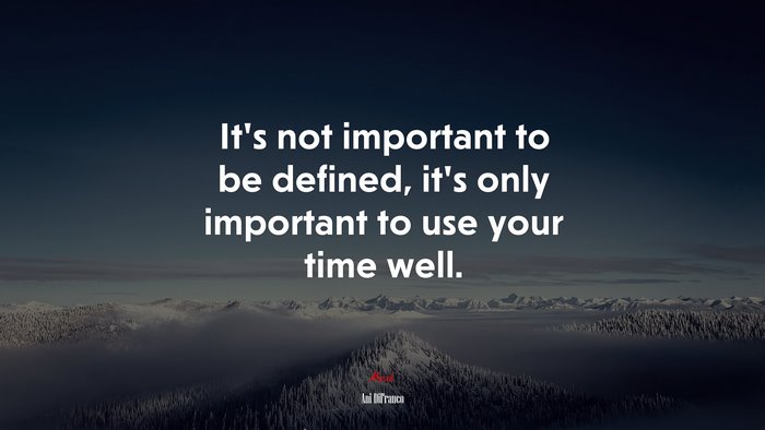 It’s not important to be defined, it’s only important to use your time well. | Ani DiFranco quote