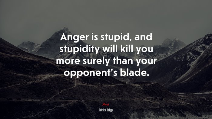 Anger is stupid, and stupidity will kill you more surely than your opponent’s blade. | Patricia Briggs quote