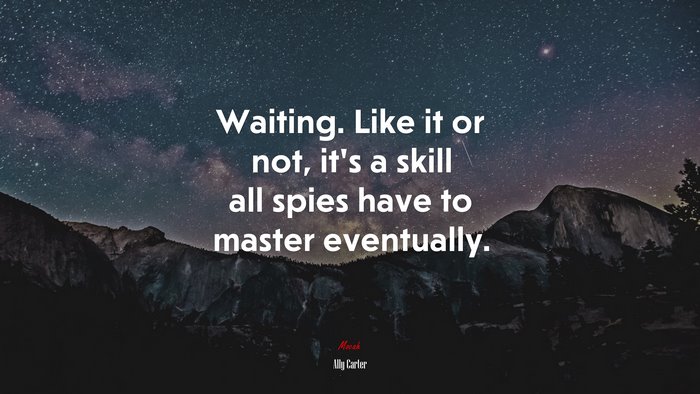 Waiting. Like it or not, it’s a skill all spies have to master eventually. | Ally Carter quote