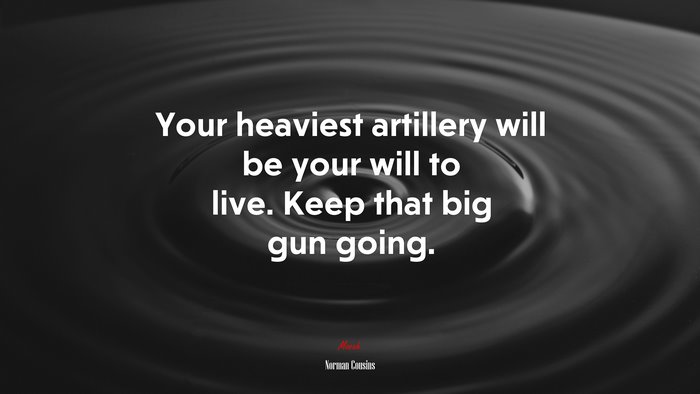 Your heaviest artillery will be your will to live. Keep that big gun going. | Norman Cousins quote