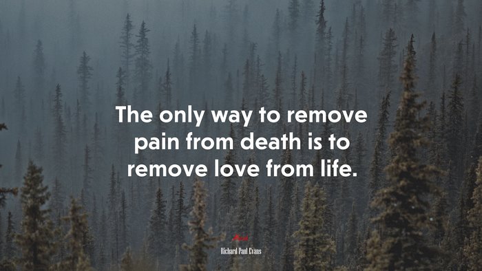The only way to remove pain from death is to remove love from life. | Richard Paul Evans quote