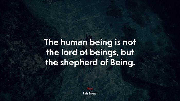The human being is not the lord of beings, but the shepherd of Being. | Martin Heidegger quote