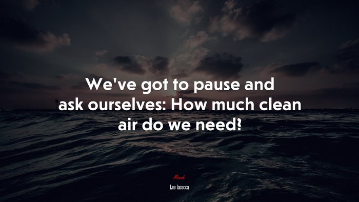 We’ve got to pause and ask ourselves: How much clean air do we need? | Lee Iacocca quote