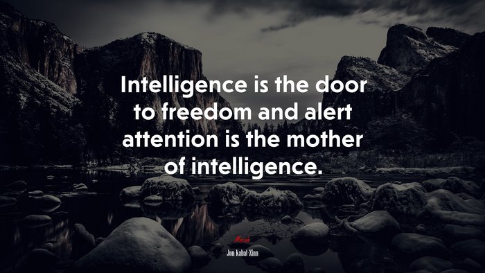 Intelligence is the door to freedom and alert attention is the mother of intelligence. | Jon Kabat-Zinn quote