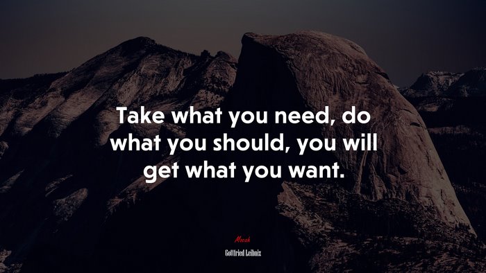Take what you need, do what you should, you will get what you want. | Gottfried Leibniz quote