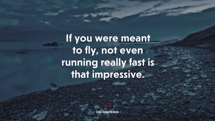 If you were meant to fly, not even running really fast is that impressive. | Erwin Raphael McManus quote