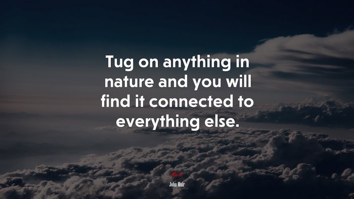 Tug on anything in nature and you will find it connected to everything else. | John Muir quote