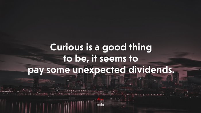 Curious is a good thing to be, it seems to pay some unexpected dividends. | Iggy Pop quote