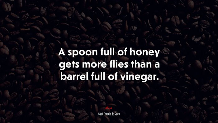 A spoon full of honey gets more flies than a barrel full of vinegar. | Saint Francis de Sales quote