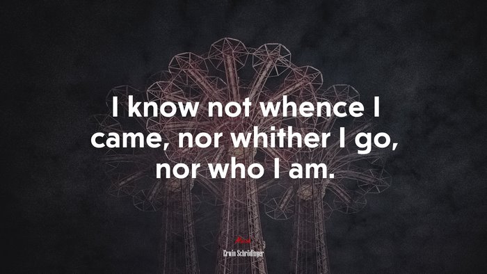 I know not whence I came, nor whither I go, nor who I am. | Erwin Schrödinger quote