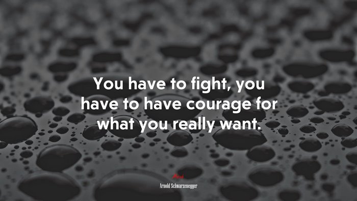 You have to fight, you have to have courage for what you really want. | Arnold Schwarzenegger quote