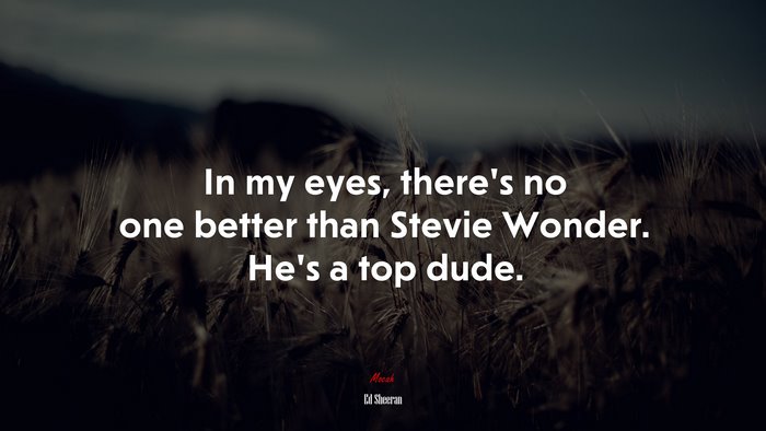 In my eyes, there’s no one better than Stevie Wonder. He’s a top dude. | Ed Sheeran quote