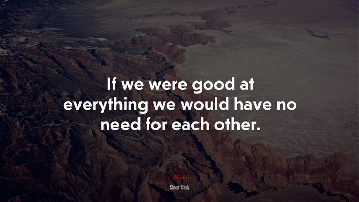If we were good at everything we would have no need for each other. | Simon Sinek quote