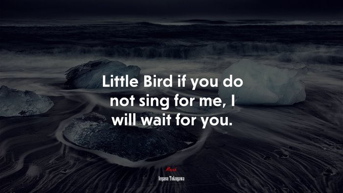 Little Bird if you do not sing for me, I will wait for you. | Ieyasu Tokugawa quote