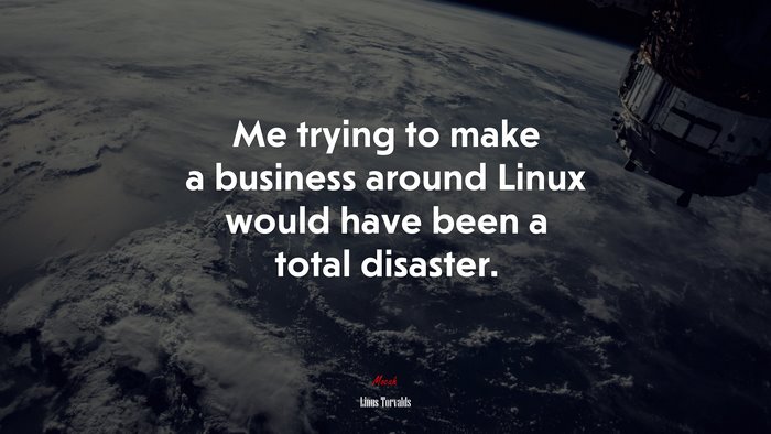 Me trying to make a business around Linux would have been a total disaster. | Linus Torvalds quote
