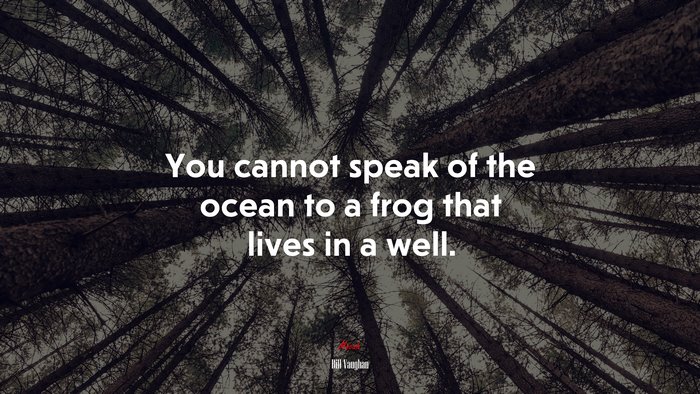 You cannot speak of the ocean to a frog that lives in a well. | Bill Vaughan quote
