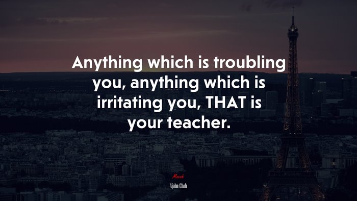 Anything which is troubling you, anything which is irritating you, THAT is your teacher. | Ajahn Chah quote