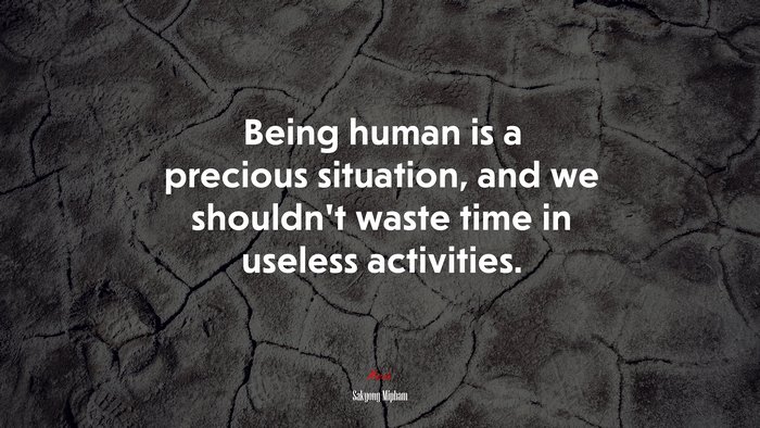 Being human is a precious situation, and we shouldn’t waste time in useless activities. | Sakyong Mipham quote