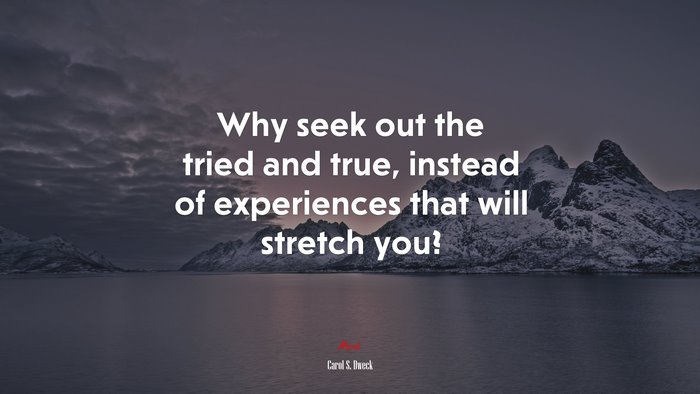 Why seek out the tried and true, instead of experiences that will stretch you? | Carol S. Dweck quote