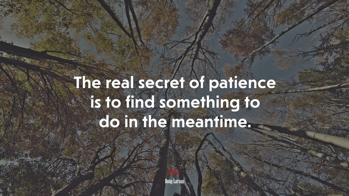 The real secret of patience is to find something to do in the meantime. | Doug Larson quote