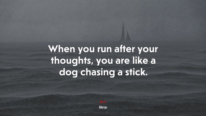 When you run after your thoughts, you are like a dog chasing a stick. | Milarepa quote