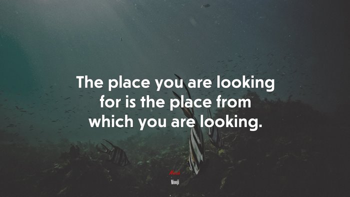 The place you are looking for is the place from which you are looking. | Mooji quote
