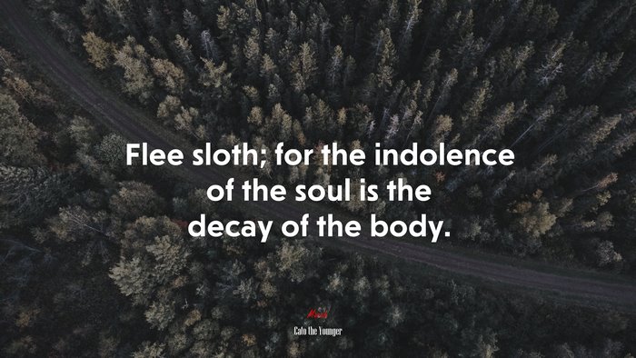 Flee sloth; for the indolence of the soul is the decay of the body. | Cato the Younger quote