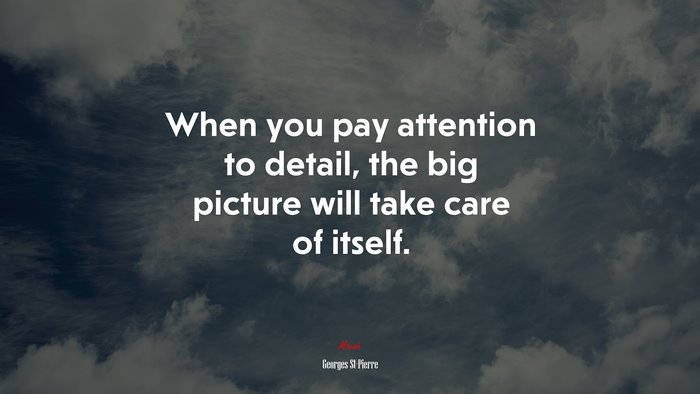 When you pay attention to detail, the big picture will take care of itself. | Georges St-Pierre quote