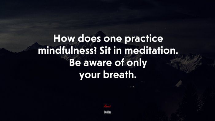 How does one practice mindfulness? Sit in meditation. Be aware of only your breath. | Buddha quote