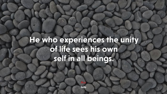 He who experiences the unity of life sees his own self in all beings. | Buddha quote
