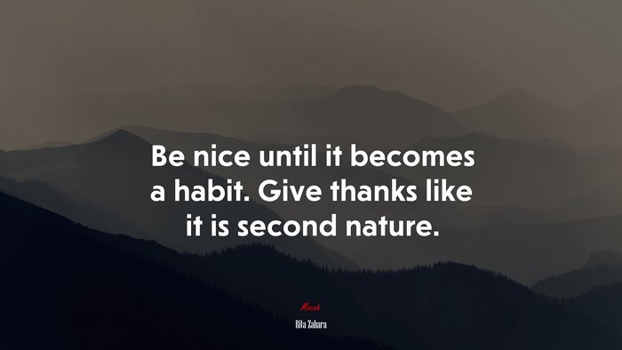 Be nice until it becomes a habit. Give thanks like it is second nature. | Rita Zahara quote