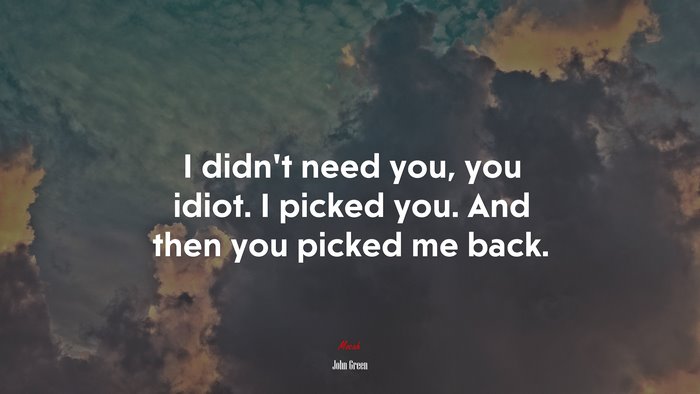 I didn’t need you, you idiot. I picked you. And then you picked me back. | John Green quote