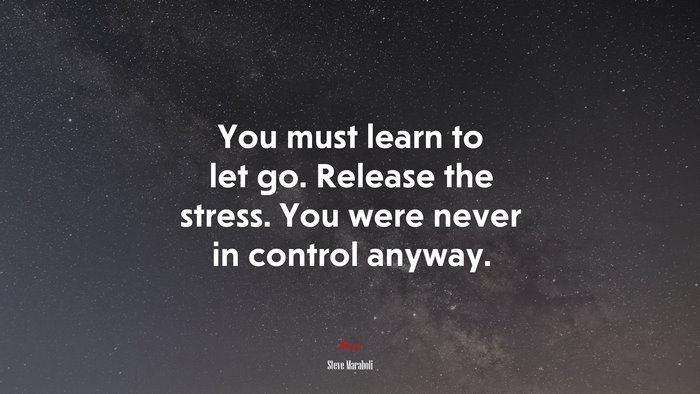 You must learn to let go. Release the stress. You were never in control anyway. | Steve Maraboli quote