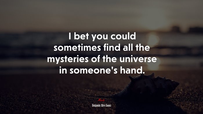 I bet you could sometimes find all the mysteries of the universe in someone’s hand. | Benjamin Alire Sáenz quote