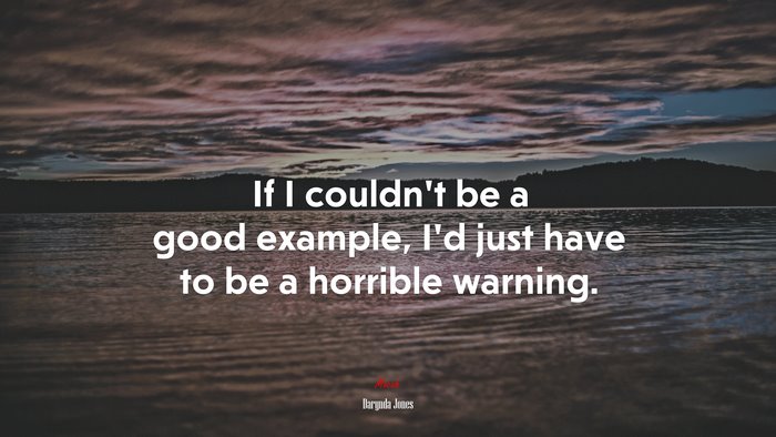 If I couldn’t be a good example, I’d just have to be a horrible warning. | Darynda Jones quote