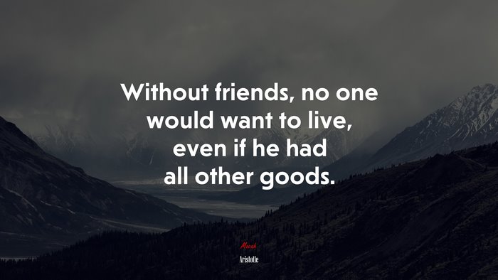 Without friends, no one would want to live, even if he had all other goods. | Aristotle quote