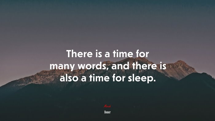 There is a time for many words, and there is also a time for sleep. | Homer quote