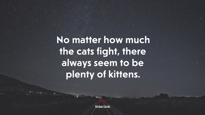 No matter how much the cats fight, there always seem to be plenty of kittens. | Abraham Lincoln quote
