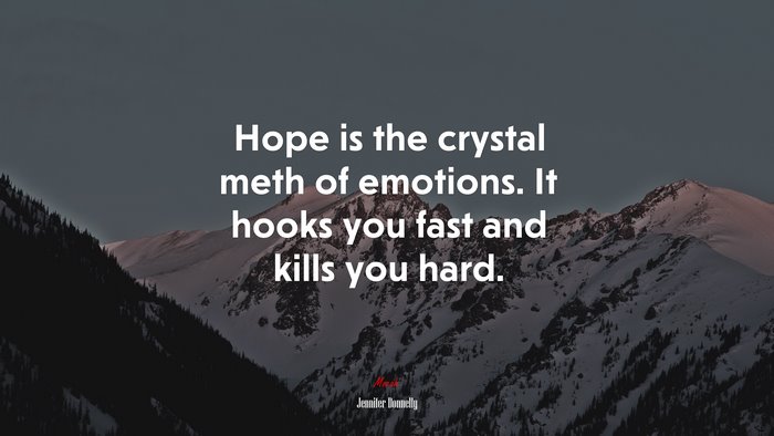 Hope is the crystal meth of emotions. It hooks you fast and kills you hard. | Jennifer Donnelly quote