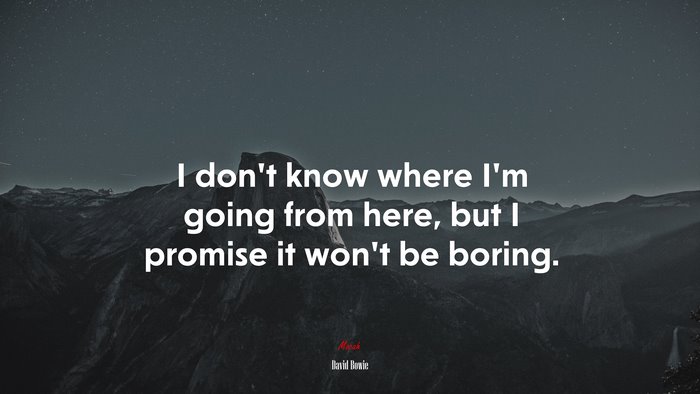 I don’t know where I’m going from here, but I promise it won’t be boring. | David Bowie quote
