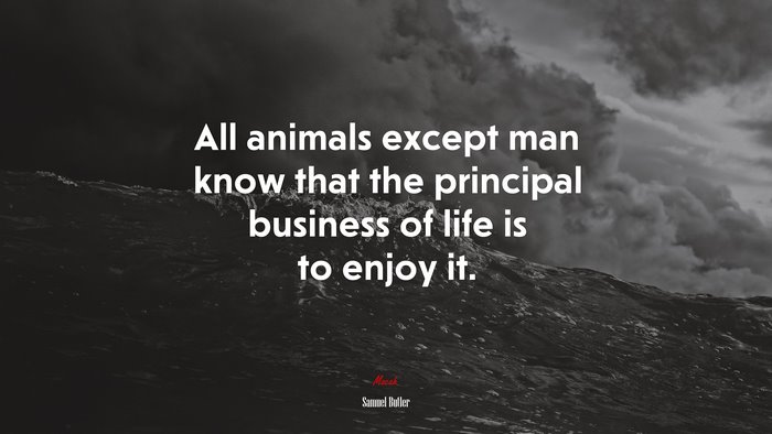 All animals except man know that the principal business of life is to enjoy it. | Samuel Butler quote