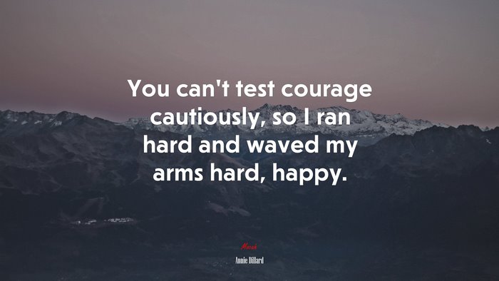 You can’t test courage cautiously, so I ran hard and waved my arms hard, happy. | Annie Dillard quote