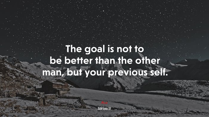 The goal is not to be better than the other man, but your previous self. | Dalai Lama XIV quote