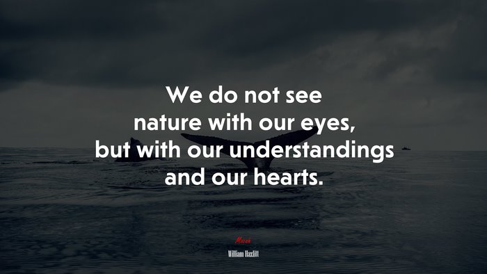 We do not see nature with our eyes, but with our understandings and our hearts. | William Hazlitt quote