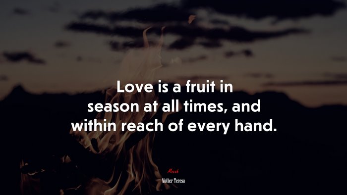 Love is a fruit in season at all times, and within reach of every hand. | Mother Teresa quote