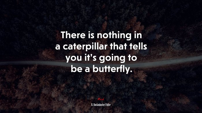 There is nothing in a caterpillar that tells you it’s going to be a butterfly. | R. Buckminster Fuller quote