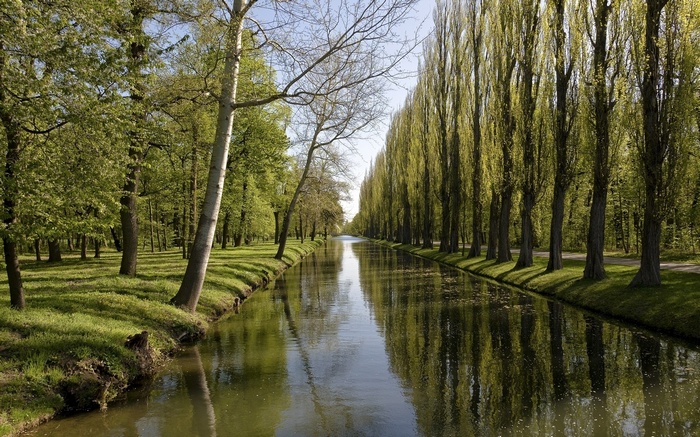 Canal lined with tall trees and green grass
